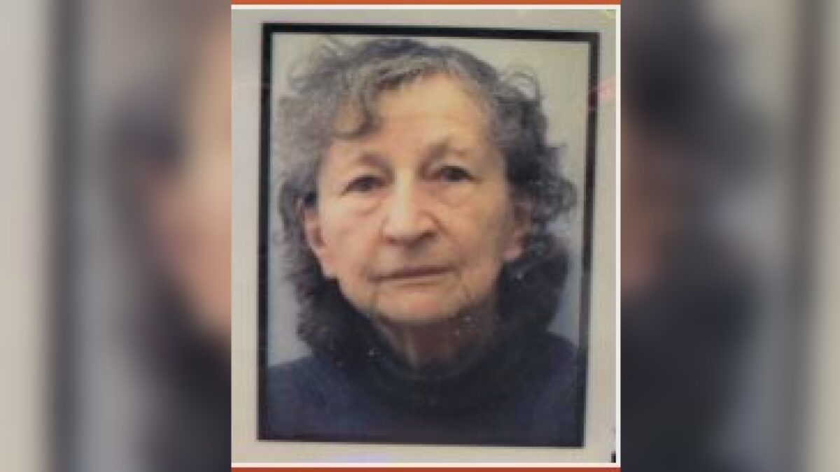 Winnipeg police issue silver alert after 79-year-old woman goes missing