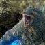 Godzilla Minus One Lands Perfect 100% On Rotten Tomatoes and Extends Theatrical Run