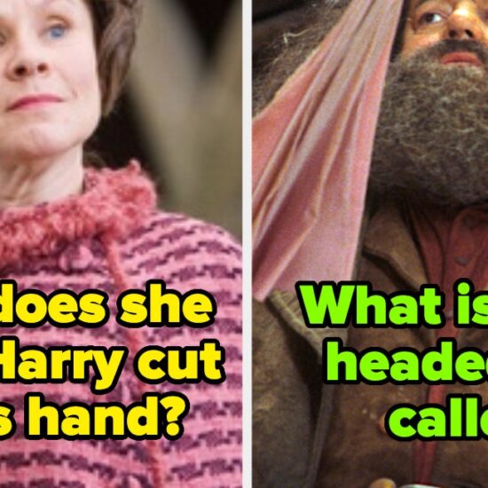 Making It To The End Of This Sudden Death "Harry Potter" Quiz Is A Seriously, Seriously, Seriously Impressive