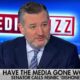 Ted Cruz Makes Fox News Host Defend MSNBC