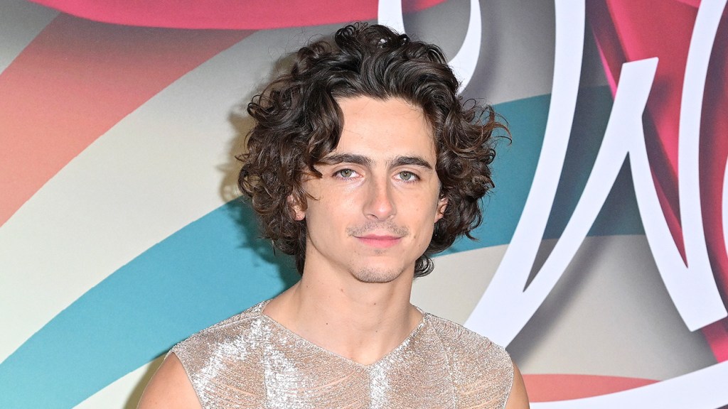 Timothée Chalamet Was Worried ‘Wonka’ Might Be a “Cynical Money Grab” – The Hollywood Reporter