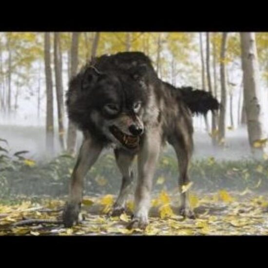 Ghost of Yotei actor says the game's wolf-petting scene was actually the Director of Cinematics