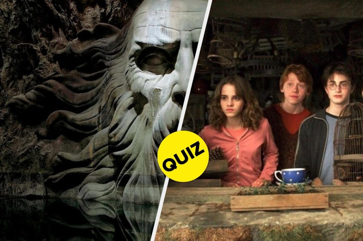I Bet You Can't Guess The "Harry Potter" Film From These Tricky Close Ups
