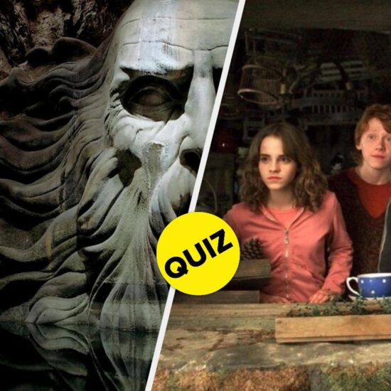 I Bet You Can't Guess The "Harry Potter" Film From These Tricky Close Ups
