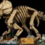 LEGO Digs Up Dinosaur Fossils Triceratops Skeleton Set