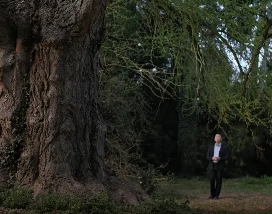 'Silent Friend' Wins SFFILM Sloan Science Award