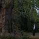 'Silent Friend' Wins SFFILM Sloan Science Award
