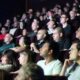 independent cinema