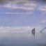 9 Iconic Film Frames Inspired by Master Paintings