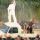 Bad Bunny Super Bowl complaints: FCC compalints over 'disturbing' show