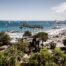 Cannes: Pedro Almodóvar 'Bitter Christmas' Screening Evacuated