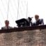 Stephen Colbert and Dave Letterman prove that throwing CBS