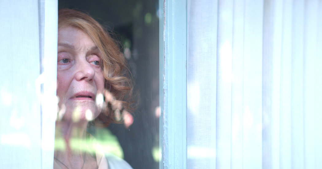 Five International Movies to Stream Now