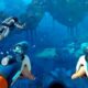 How To Craft The Wakemaker In Subnautica 2