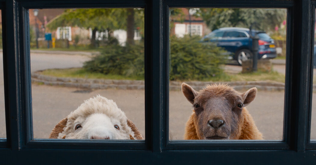 How ‘The Sheep Detectives’ Brought its Ovine Sleuths to Life