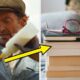 If You Loved "The Sheep Detectives," You Need These 11 Cozy Mystery Books ASAP To Keep The Vibe Going