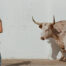 Middle of Nowhere finds Kacey Musgraves at a creative crossroads