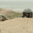 Star Wars has big opening weekend with 