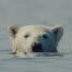 Sundance 2026 Movies Sold So Far (Updating List)