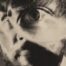 Ted Lucas: Images of Life Album Review