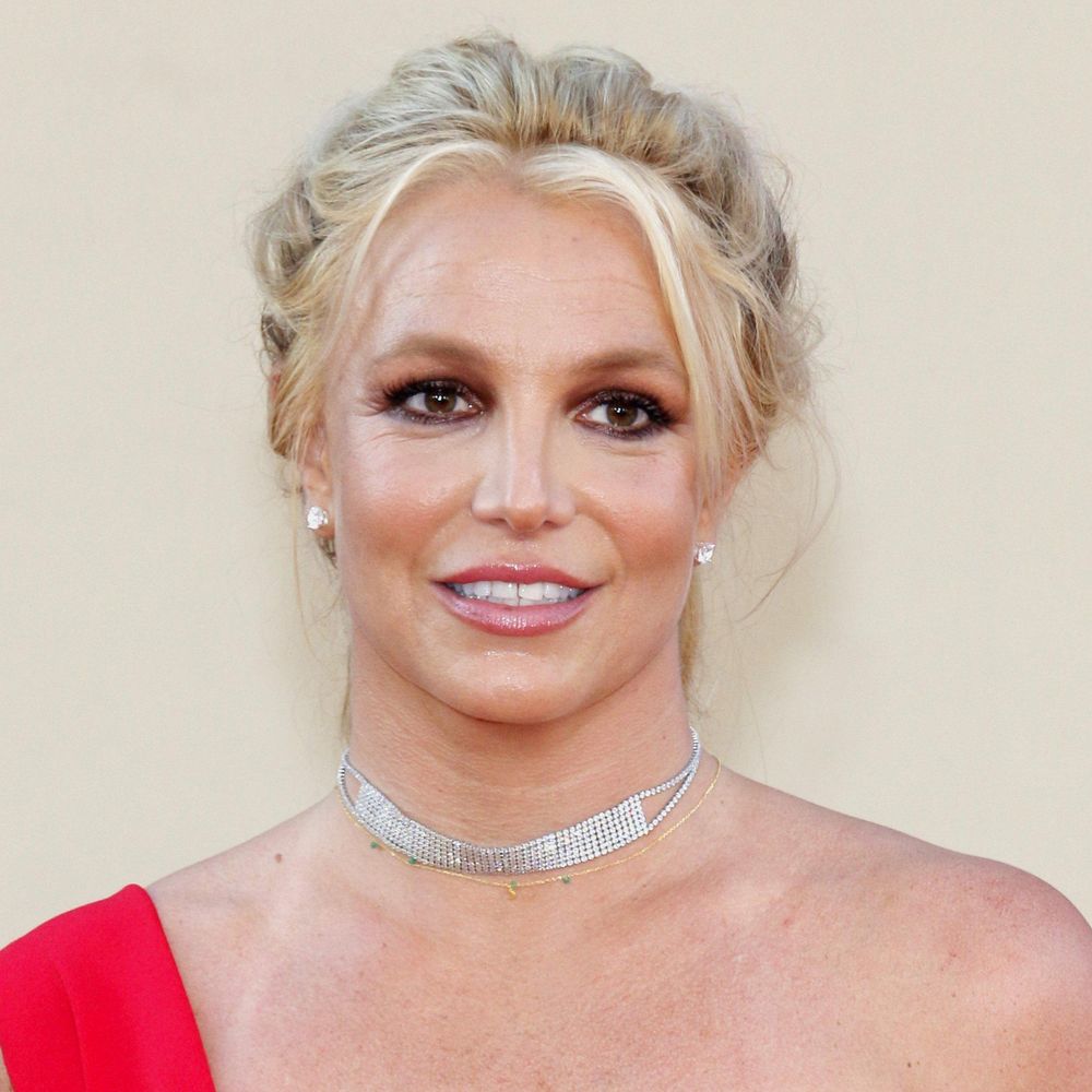 WATCH: New dashcam video captures the exact moment Britney Spears was arrested for DUI