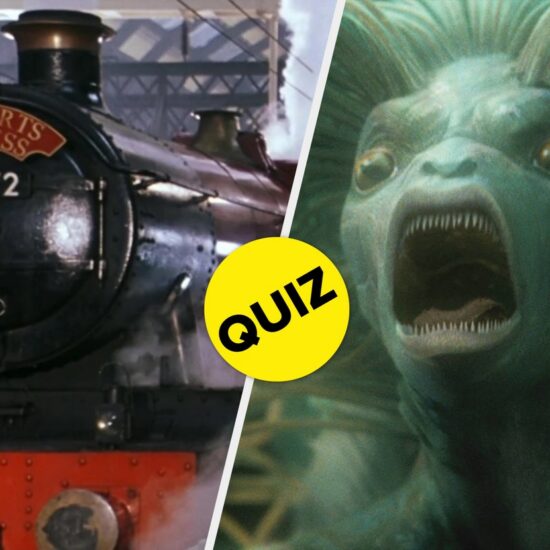 A 17 Question Harry Potter Quiz Only Real Fans Can Ace