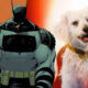 DC Studios announces Absolute Batman, Joker: Laugh Riot animated series, and an untitled kids-focused Krypto project