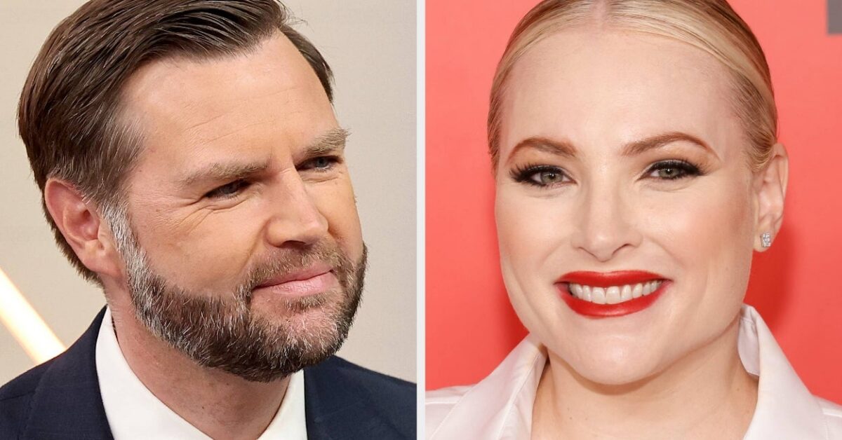 Meghan McCain Has A Wild Take On JD Vance's Interview