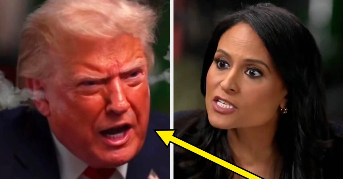 The Internet Is Meme-Ing This Pic From Donald Trump's "Meet The Press" Meltdown, And The Jokes Are Rolling In
