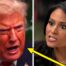 The Internet Is Meme-Ing This Pic From Donald Trump's "Meet The Press" Meltdown, And The Jokes Are Rolling In