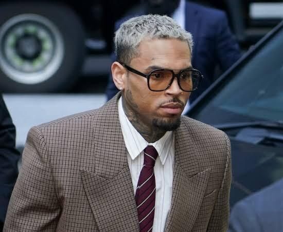 Chris Brown ordered to pay R214 million after housekeeper wins dog attack lawsuit
