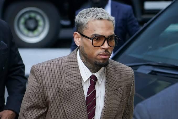 Chris Brown ordered to pay R214 million after housekeeper wins dog attack lawsuit