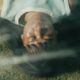 Hudson Film Festival Reveals 2026 Lineup