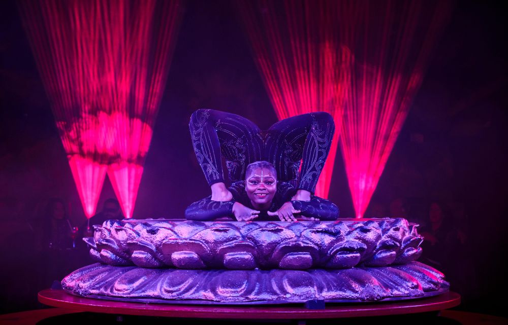Jaw-dropping feats, catchy songs and cheeky banter: Inside 'The Royal Countess Zingara'