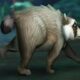 Jimothy, The Viral Raccoon, Is Becoming An Earnable WoW Pet
