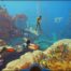 Subnautica 2's New Update Secretly Had New Audio Clips, Which Might Lead to Four New Biomes Incoming