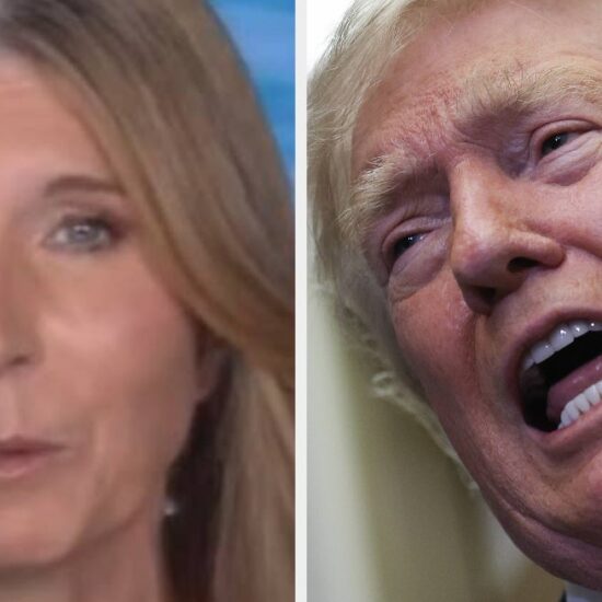 This MS NOW Host Absolutely Destroyed Trump's Prime Time Speech Before It Even Happened
