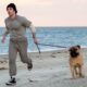 Anthony Ippolito stars as Sylvester Stallone in I Play Rocky