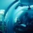 Bioluminescence Captured In Edie Widder Doc 'A Life Illuminated'
