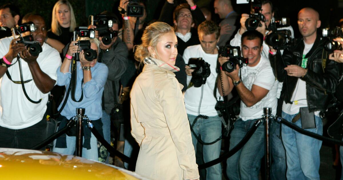 Hayden Panettiere: Ex's brother speaks out amid scrutiny