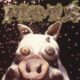 Primus: Pork Soda Album Review