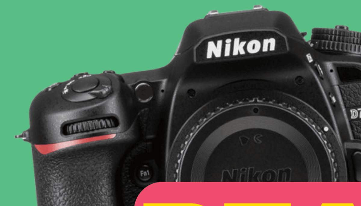 These Old Nikon DSLRs Might Quietly Be Some of the Best Camera Deals Around
