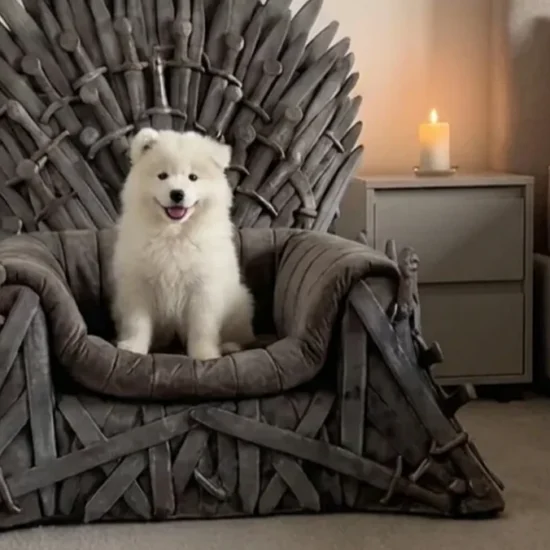 Your Pet Can Rule the Realm With These GAME OF THRONES Beds