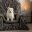 Your Pet Can Rule the Realm With These GAME OF THRONES Beds