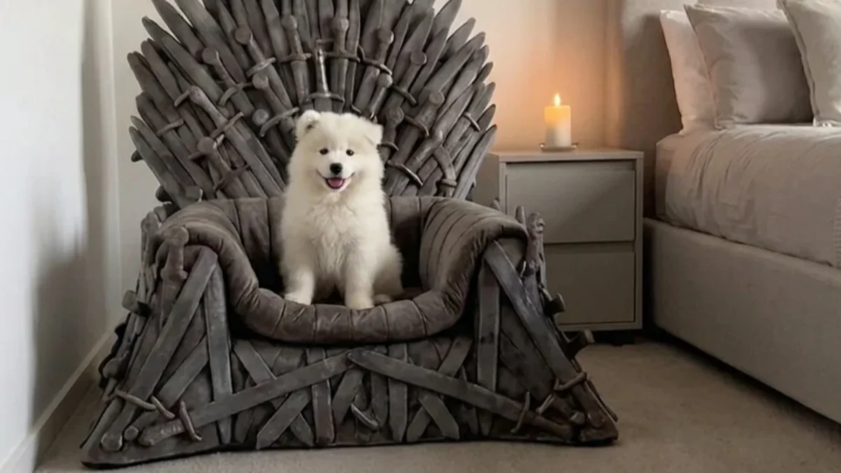 Your Pet Can Rule the Realm With These GAME OF THRONES Beds