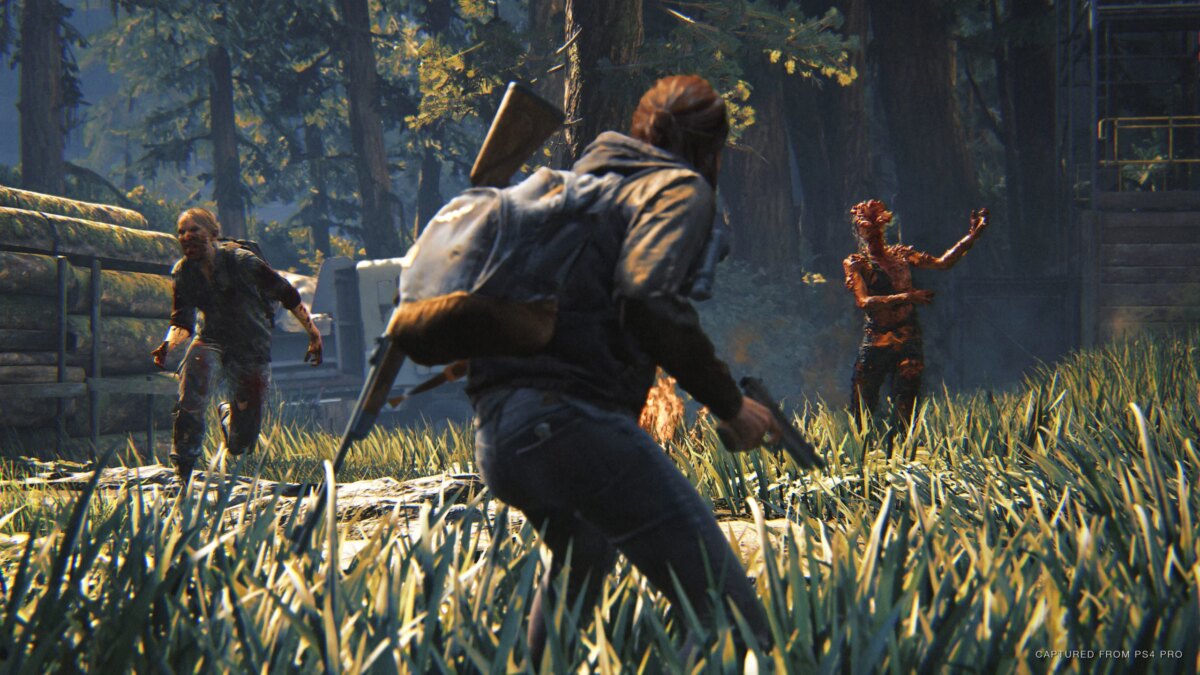 Last of Us Part 2 multiplayer mod ‘canceled by Sony’