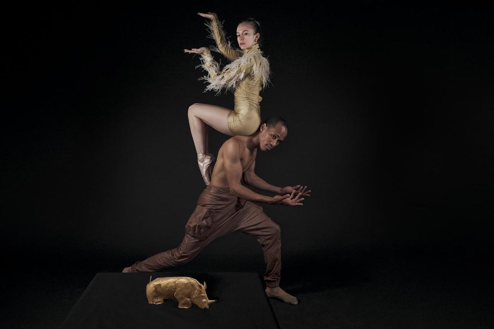 Mapungubwe ballet to anchor UP benefit concert to unlock degree certificates for debt‑burdened graduates