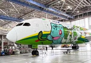 New Pokemon Plane Looks Incredible, Even Includes Themed Cups And Napkins