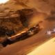 Fuse Games Confirms Key Rebinding Is Coming to Star Wars: Galactic Racer