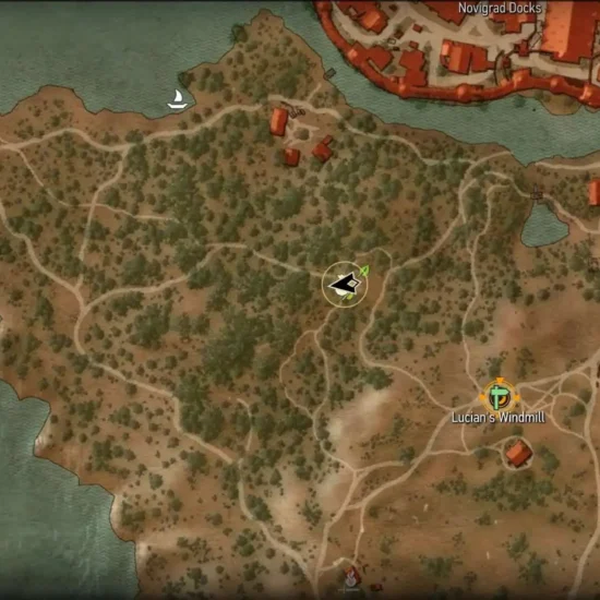 The Witcher 3 Ciri Gwent Card Scoitael Trader location on map